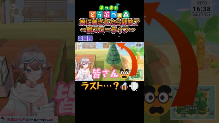 【あつ森】【脱スローライフ2日目】詰めが甘い【落田おはぎ】 #あつ森 #新人vtuber #切り抜き