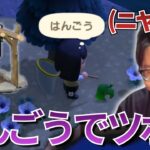 【あつ森】”はんごう”を拾い静かにツボるたいじ【2026/03/02】