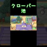 クローバー池【あつ森】20260303