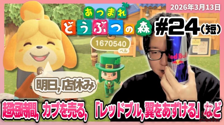 [2026/3/13][たいじ] ぎりぎりでおはよう [あつまれどうぶつの森][Twitch]