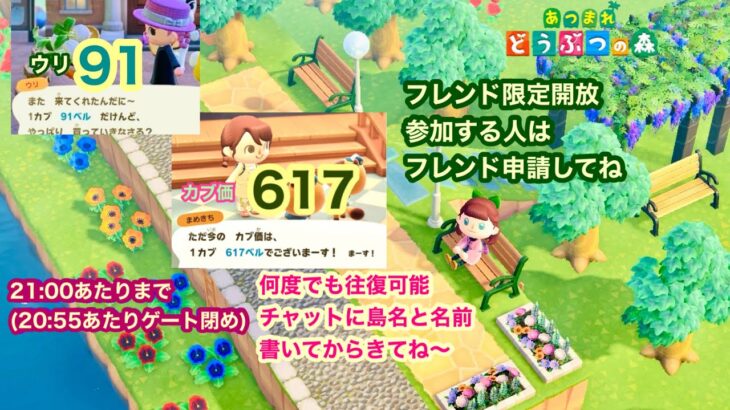 【あつ森】2026,3/14 カブ価617&ウリ91(21:00あたりまで)【フレンド限定開放、参加する人はフレンド申請してね】