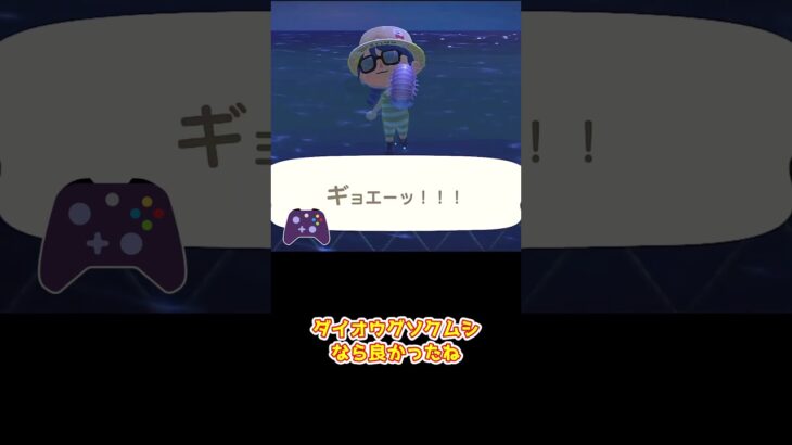 【あつ森】≪素潜り2500匹≫　ラッキーなできごと