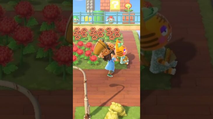 【あつ森】2日連続でキモい観光客を網で叩いてみたw #shorts #あつ森