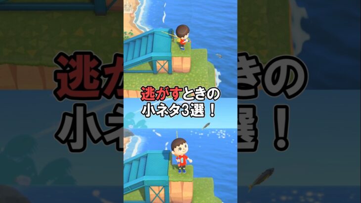 逃がすときの小ネタ3選 【あつ森】@ほのげ