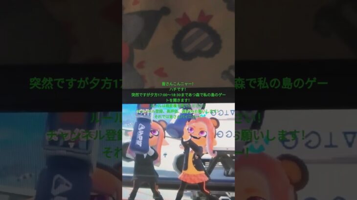 あつ森で遊べる人はカモモモーン！#ハチ#スプラトゥーン3#あつまれ動物の森