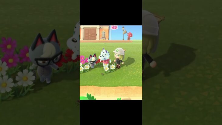 【あつ森】虫取り難しい… #スプラ #スプラトゥーン3 #splatoon3 #あつまれどうぶつの森 #あつ森 #ゲーム