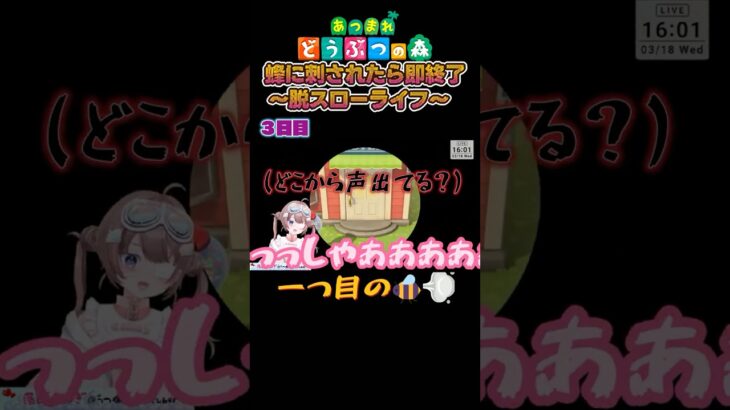 【あつ森】【脱スローライフ3日目】どうしていつもこうなのか【落田おはぎ】 #あつ森 #新人vtuber #切り抜き