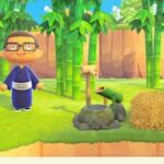 【あつ森】【新人】よりくマン　3/11　2026