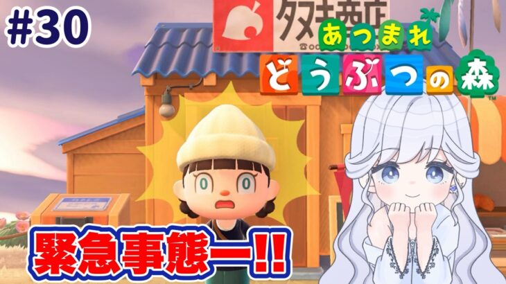 【33日目】急いでお金を貯めきゃ😱【＃あつ森/＃ゲーム配信】