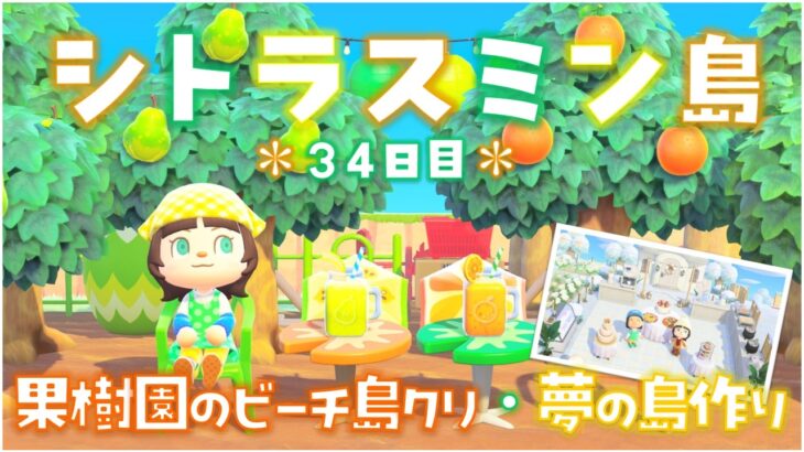 【あつ森】果樹園のビーチを島クリ！後半参加型夢の島！シトラスミン島＊34日目＊【生放送】
