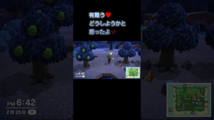 あつ森　#347　まったりしていきませんか？🐰✨️