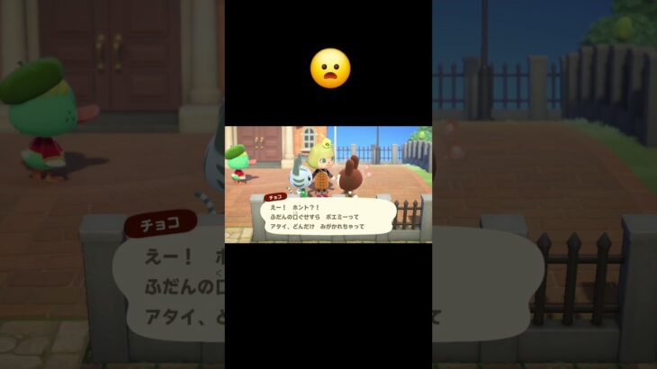 あつ森　#348　まったりしていきませんか？🐰😽✨️