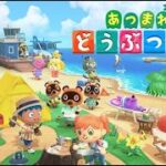 あつまれねことらの森　4日目【あつ森】