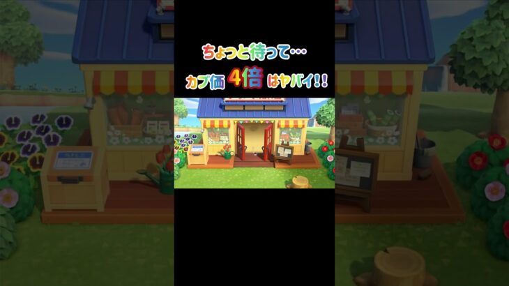 【あつ森】カブが4倍になったー！！！ #あつ森 #あつまれどうぶつの森 #animalcrossing