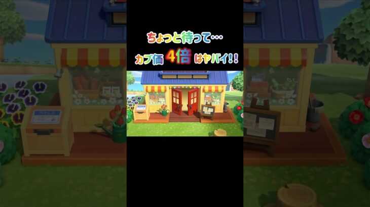 【あつ森】カブが4倍になりました！！やったー！！ #あつ森 #あつまれどうぶつの森 #animalcrossing