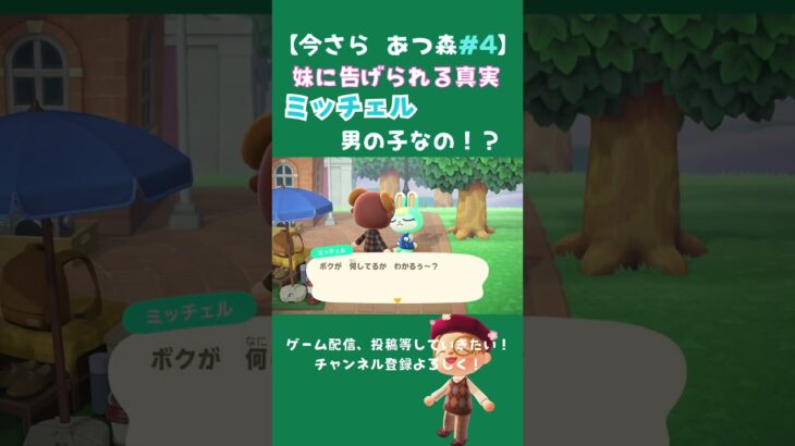 ミッチェル男の子でした…今更あつ森#4 #あつ森#あつ森初心者 #ゲーム #ゲーム実況 #ミッチェル #shorts