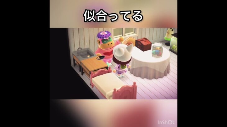 【あつ森】4ごうちゃんにプレゼント　#vlog #あつ森 #あつまれどうぶつの森 #こはくちゃんねる2424   #毎日更新　毎日更新中