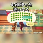 【あつ森】あおいバラのリース40個作って売ったらいくらかな？　#vlog #あつ森 #あつまれどうぶつの森 #こはくちゃんねる2424  青バラ