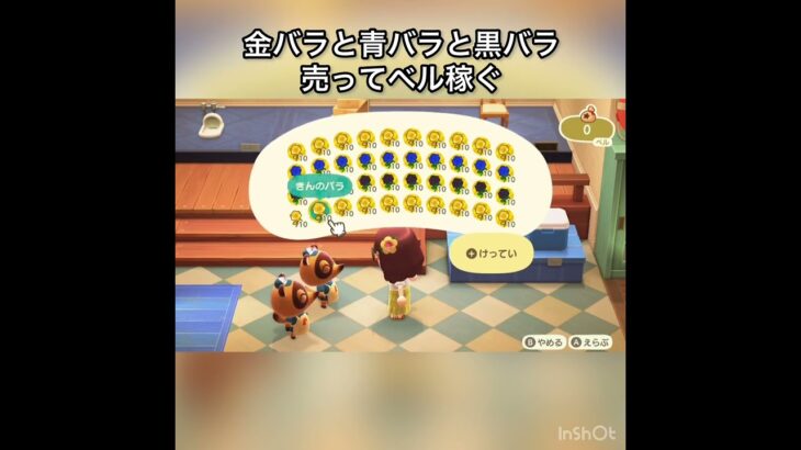 【あつ森】金バラ、青バラ、黒バラ合わせて400個売ったらいくら稼げる？　結果　ベル稼ぐ　#vlog #あつ森 #あつまれどうぶつの森 #こはくちゃんねる2424