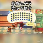 【あつ森】あおいバラを400個売ったら400000ベル稼げた　結果　ベル稼ぐ　#vlog #あつ森 #あつまれどうぶつの森 #こはくちゃんねる2424