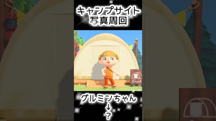 【あつ森】407人写真コンプできる？できない？（11）#あつまれどうぶつの森  #animalcrossing  #キャプサイト