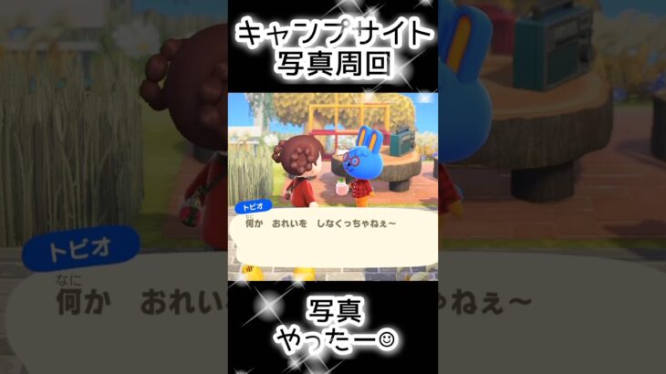 【あつ森】407人写真コンプできる？できない？（18）#あつまれどうぶつの森  #animalcrossing  #キャプサイト