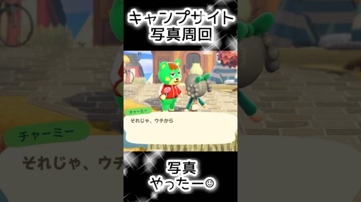 【あつ森】407人写真コンプできる？できない？（19）#あつまれどうぶつの森  #animalcrossing  #キャプサイト