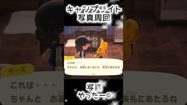 【あつ森】407人写真コンプできる？できない？（20）#あつまれどうぶつの森  #animalcrossing  #キャプサイト
