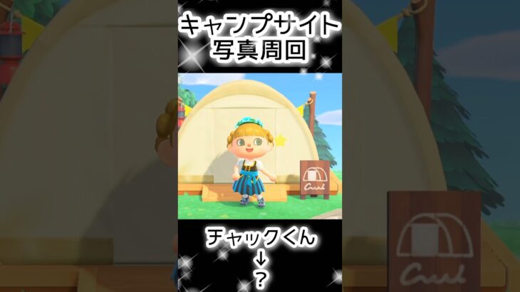【あつ森】407人写真コンプできる？できない？（4）#あつまれどうぶつの森  #animalcrossing  #キャプサイト