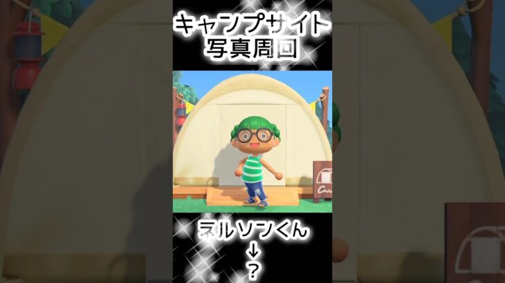 【あつ森】407人写真コンプできる？できない？（6）#あつまれどうぶつの森  #animalcrossing  #キャプサイト