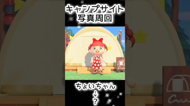 【あつ森】407人写真コンプできる？できない？（7）#あつまれどうぶつの森  #animalcrossing  #キャプサイト