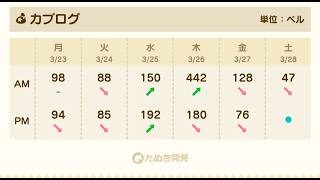 【あつ森】カブ442チャンネル登録、高評価で参加可能！