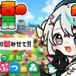 あつまれどうぶつの森 #45┊島訪問・第7回！島づくりの参考に、ぜひあなたの島を見せてください！【猫百合イッサ／StellarRealm】