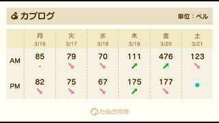 【あつ森】カブ476チャンネル登録、高評価で参加可能！