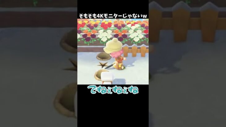 そもそも4Kモニターじゃなかったｗ #あつ森 #ききゆん 【嬉々桜ゆん】