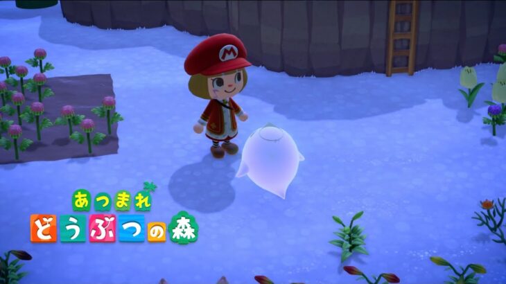 ◉あつまれ どうぶつの森【 博物館 かせきコンプリート🦖 】 #50 　2026年2月21日-23日　#あつ森 #あつまれどうぶつの森 #ハピパラ