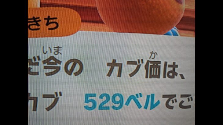 【あつ森】カブ529！チャンネル登録、高評価で参加可能！