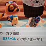 【あつ森】カブ533チャンネル登録、高評価で参加可能！