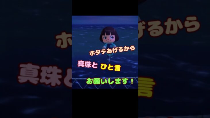 今日のラコスケ＃55「やればできる…かな？」3選【あつ森】#shorts