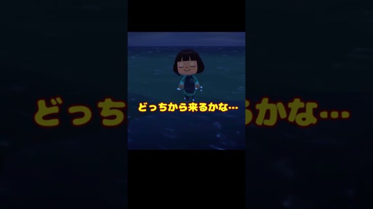 今日のラコスケ＃58「ふたつ同時に…は無理？」2選【あつ森】#shorts