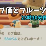 【あつ森】カブ価584ベルと全種フルーツを配布！まったりカブ活初心者歓迎