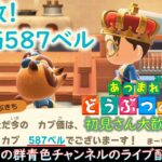 【あつ森】カブ価587ベル！カブで儲けたい人集まれ！