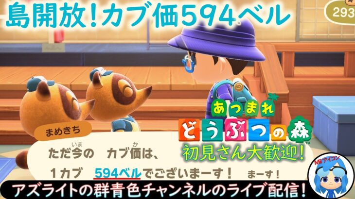 【あつ森】カブ価594ベル！カブで儲けたい人集まれ！