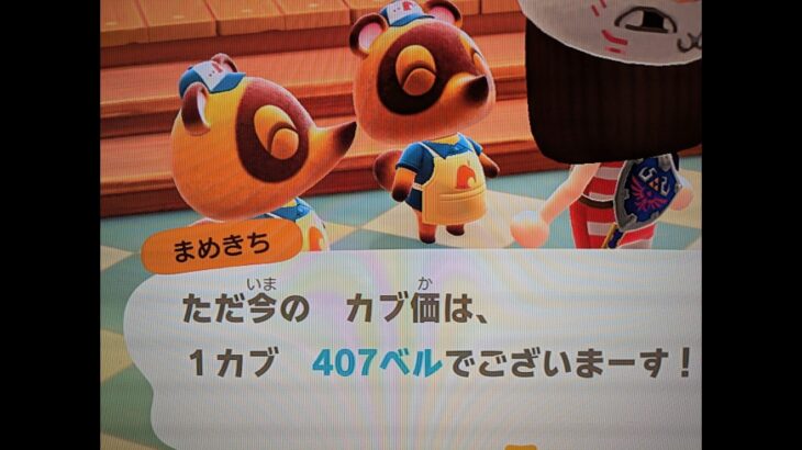 【あつ森】カブ595！チャンネル登録、高評価で参加可能！