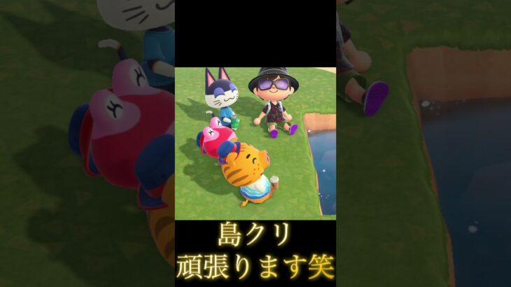 6周年おめでとう！ #animalcrossing #あつ森 #あつまれどうぶつの森