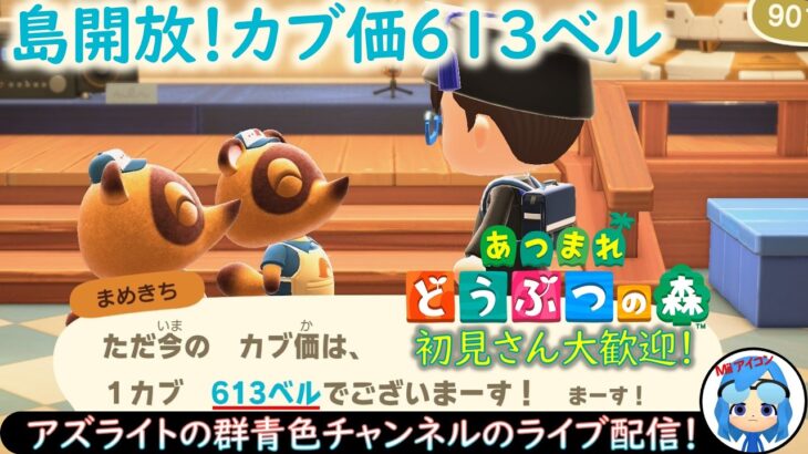 【あつ森】株価613ベル！カブで儲けたい人集まれ！