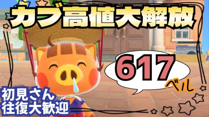 【あつ森実況】カブ価最大618ベル！参加型！【初見さん歓迎！】