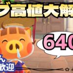 【あつ森実況】カブ価最大640ベル！！！参加型！【初見さん歓迎！】