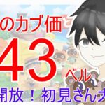 【あつ森】初見さん大歓迎！カブ価643ベルを無償開放。カブ活しましょう！