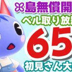 【あつ森】初見さん歓迎です　「652ベル」の島開放中！【カブ価】【あつ森 参加型】